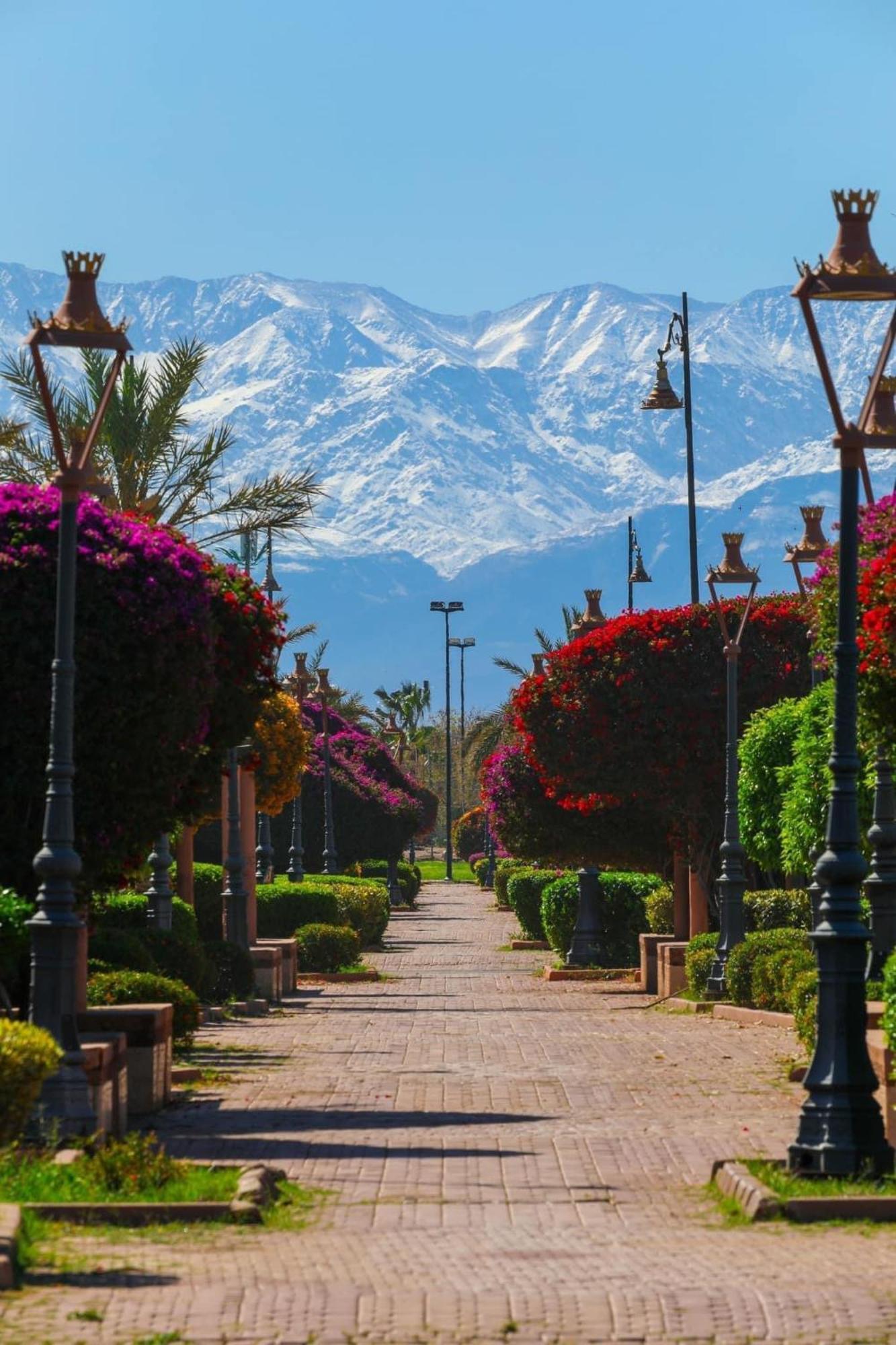 Riad Majestic Marrakech Marrakesh Exteriör bild