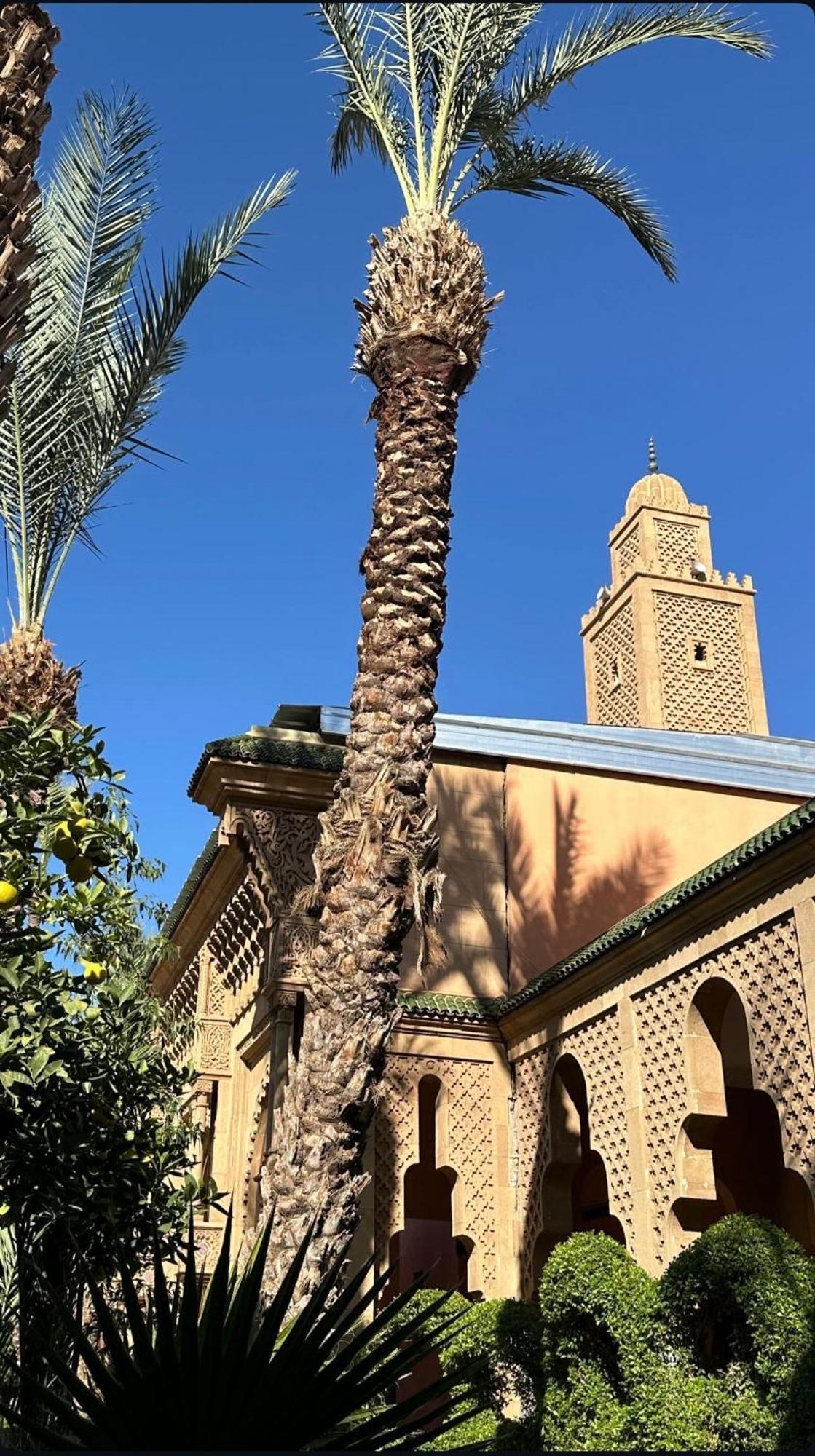 Riad Majestic Marrakech Marrakesh Exteriör bild